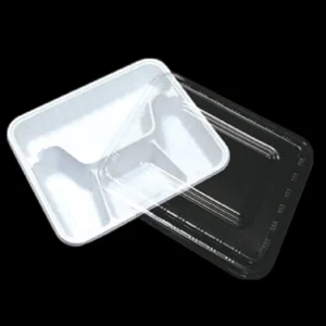 Takeaway Food Containers
