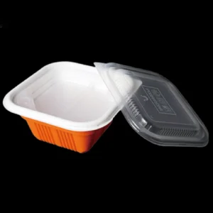 Takeaway Food Containers