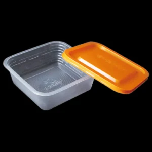 Takeaway Food Containers