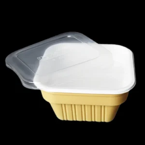Takeaway Food Containers