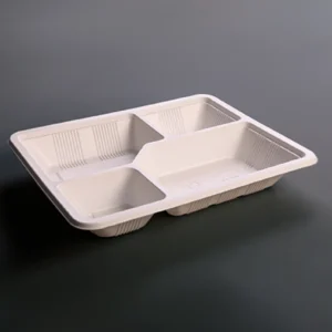 Takeaway Food Containers