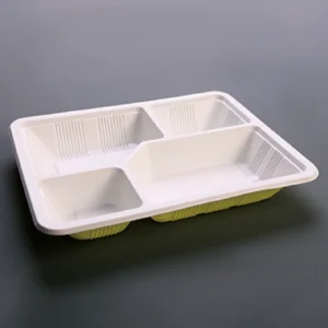 Takeaway Food Containers