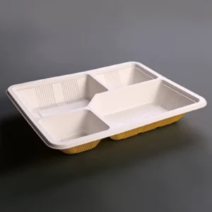 Takeaway Food Containers