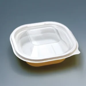 Takeaway Food Containers