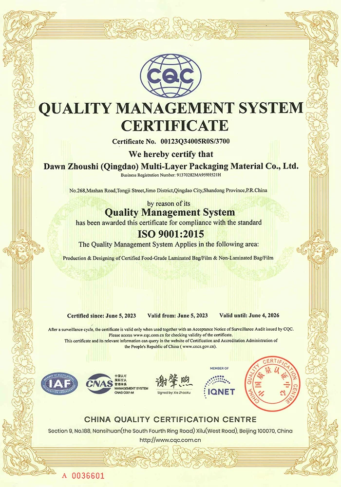ISO9001